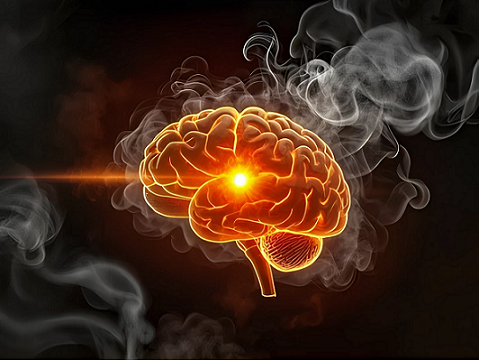 cerébro- reflexos-imaterial da consciência-mitologia e arquétipos