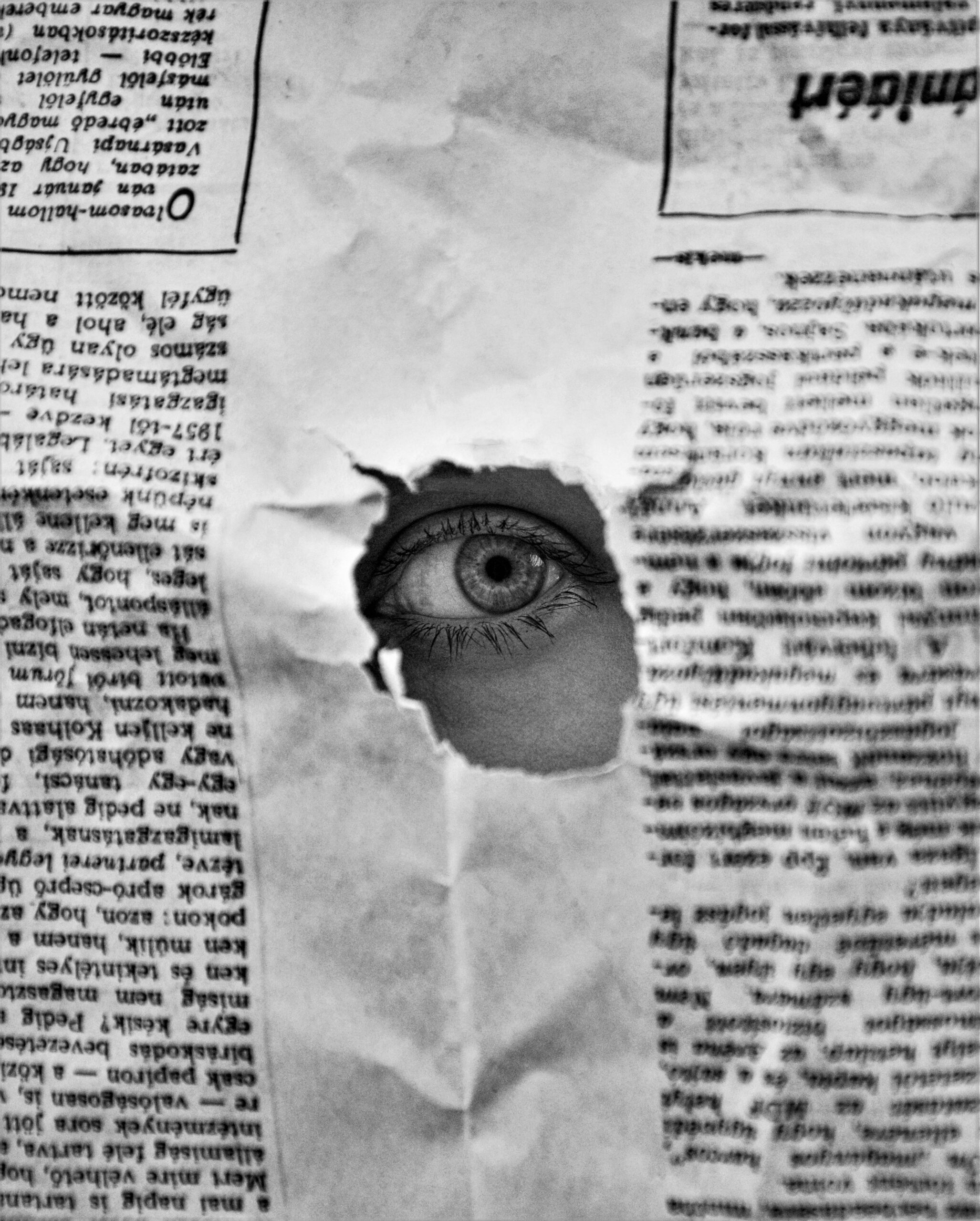 política-de-privacidade-do-blog-eloxis-imagem-pexel
